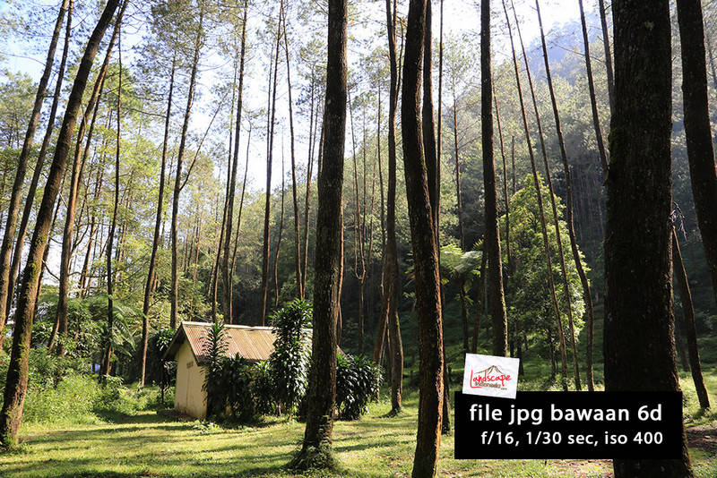 test jpg/raw kamera canon 6d test jpg/raw kamera canon 6d