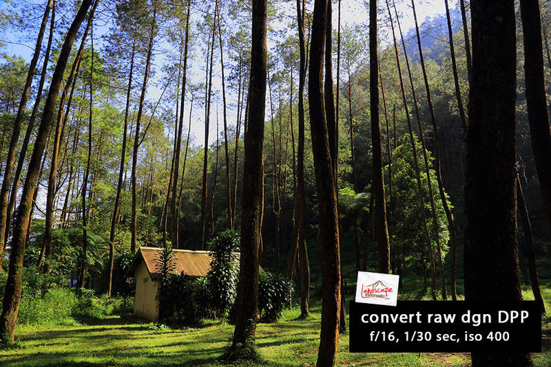 test jpg/raw kamera canon 6d test jpg/raw kamera canon 6d