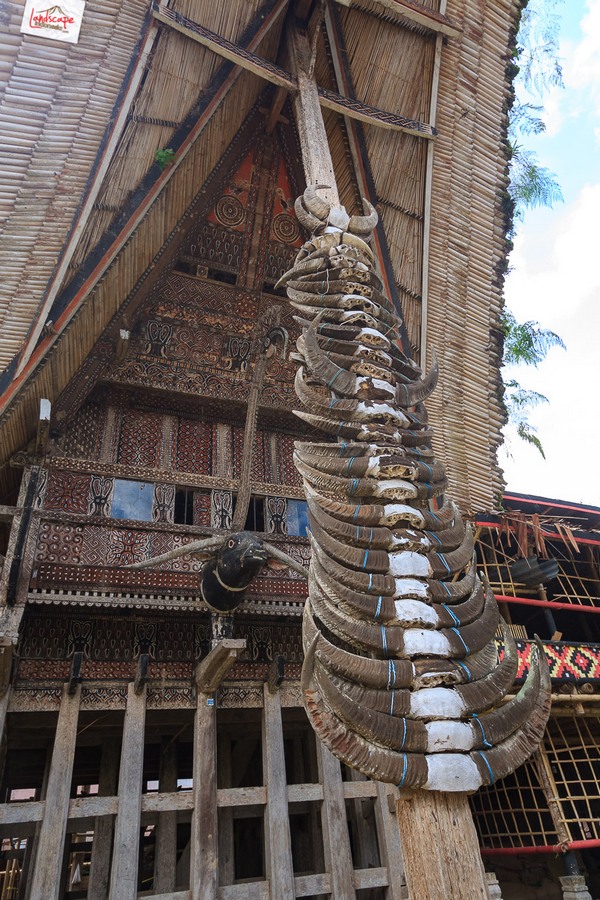 Toraja budaya di atas awan