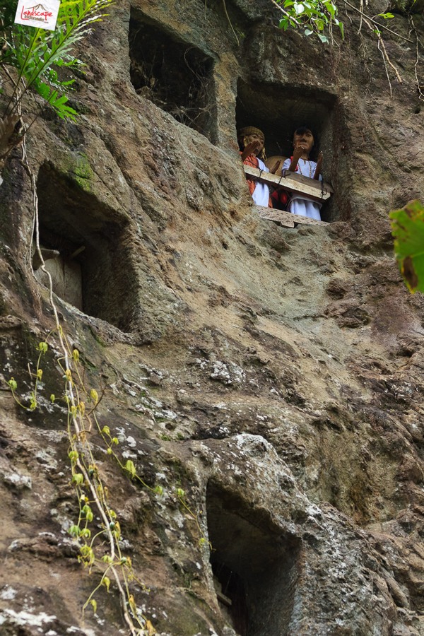 Toraja budaya di atas awan