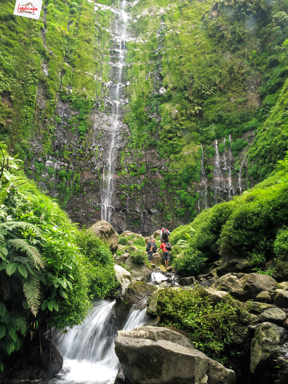 Selamat datang di Semuncar