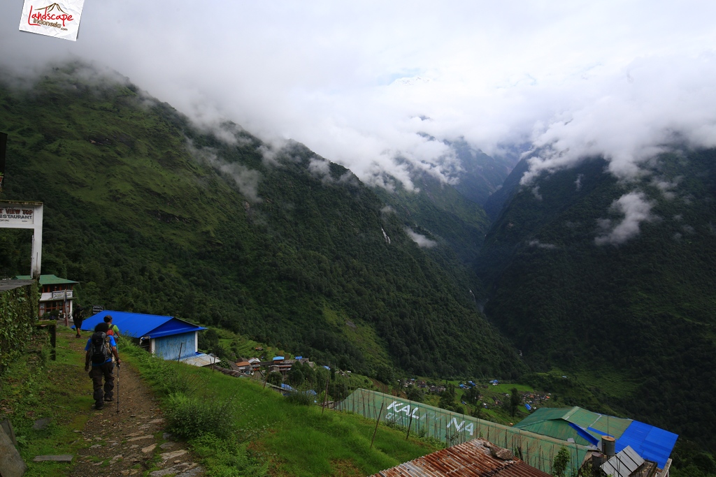 annapurna basecamp bamboo
