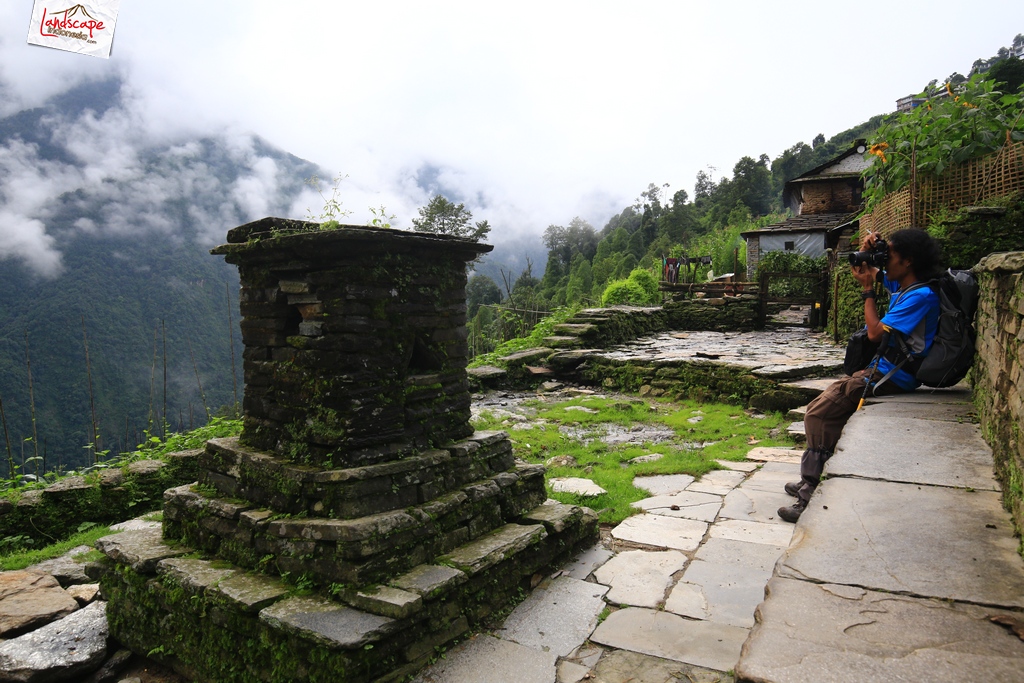 annapurna basecamp bamboo