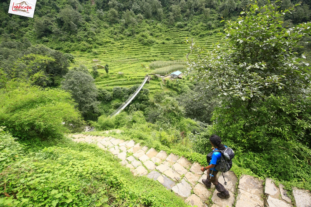 annapurna basecamp bamboo