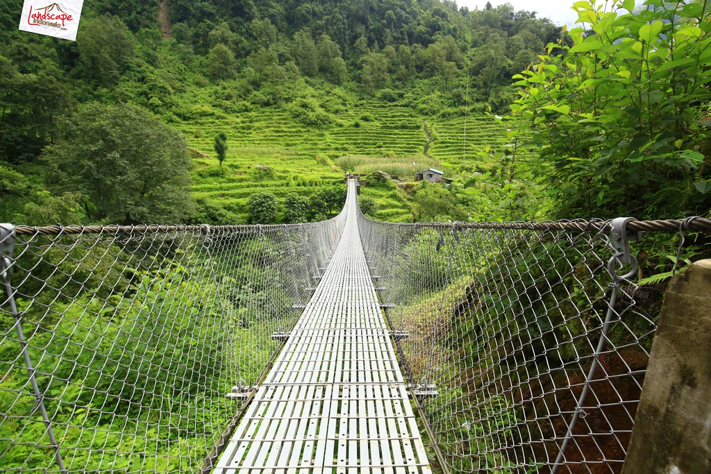 annapurna basecamp bamboo