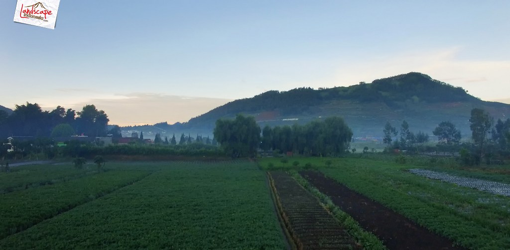 dieng dari udara - suasana pagi berkabut