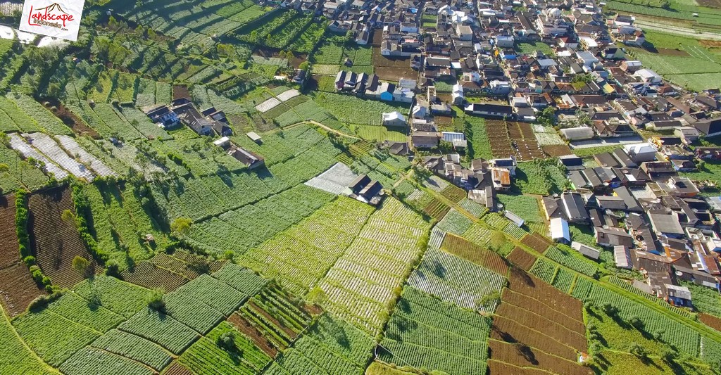 dieng dari udara - pemukiman dan perkebunan