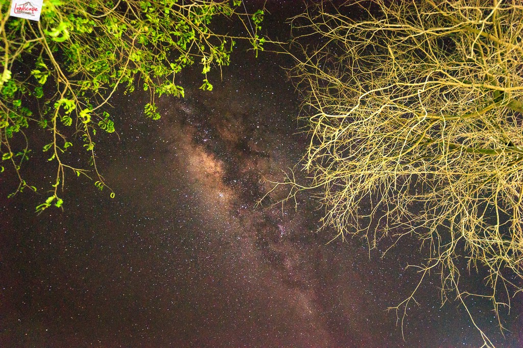 meracuni milky way di batam