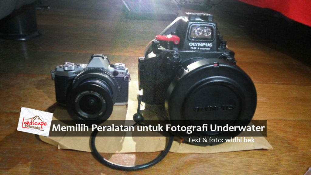 memilih peralatan untuk fotografi underwater-