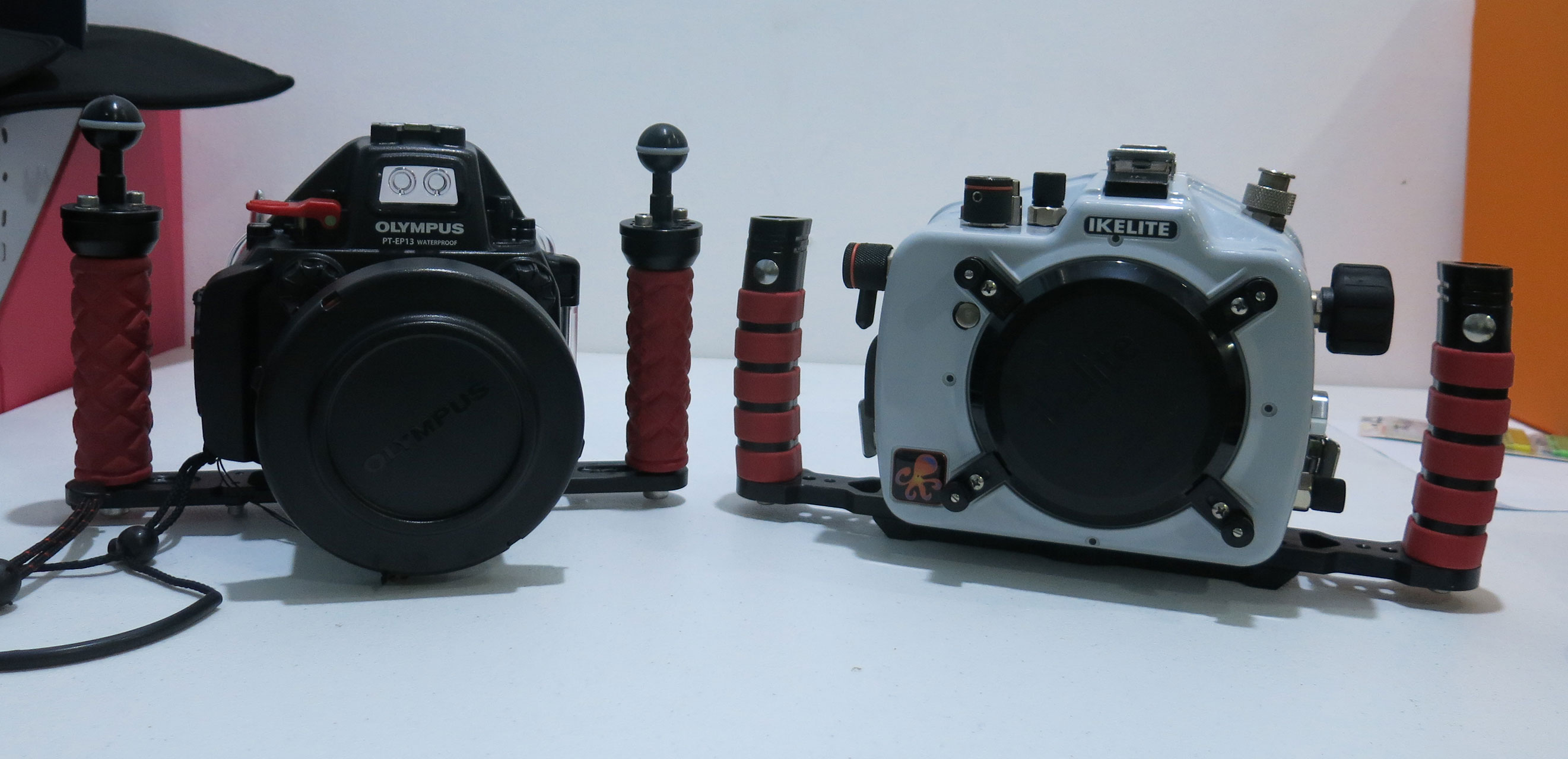 memilih peralatan untuk fotografi underwater-