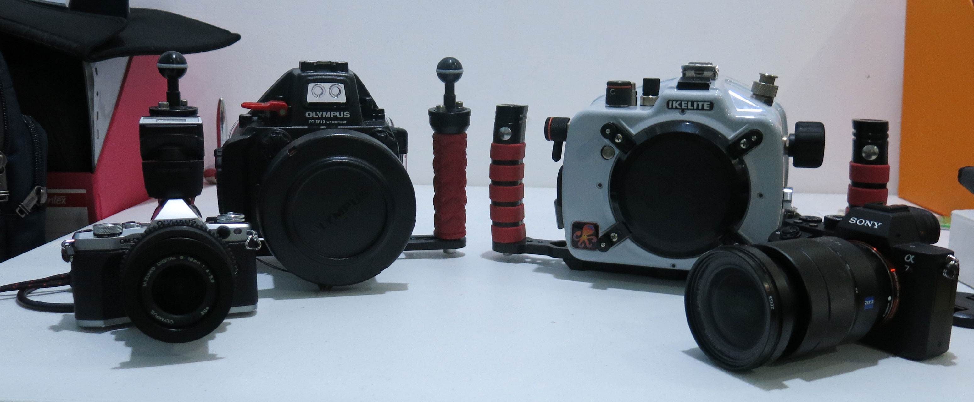 memilih peralatan untuk fotografi underwater-