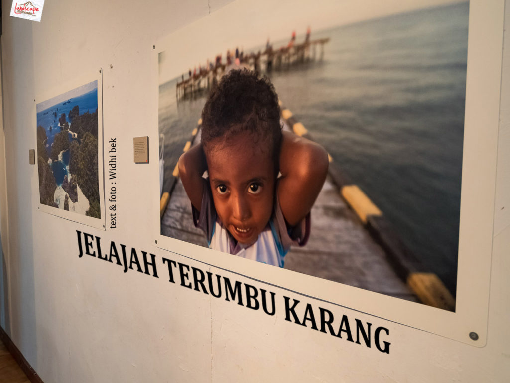 jelajah terumbu karang