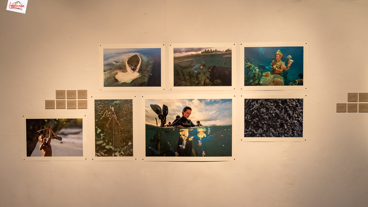 jelajah terumbu karang