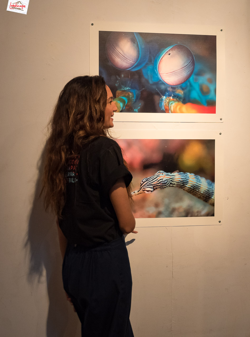 jelajah terumbu karang