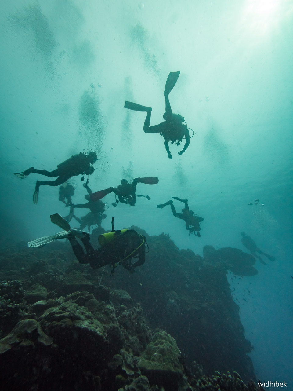 manado dive
