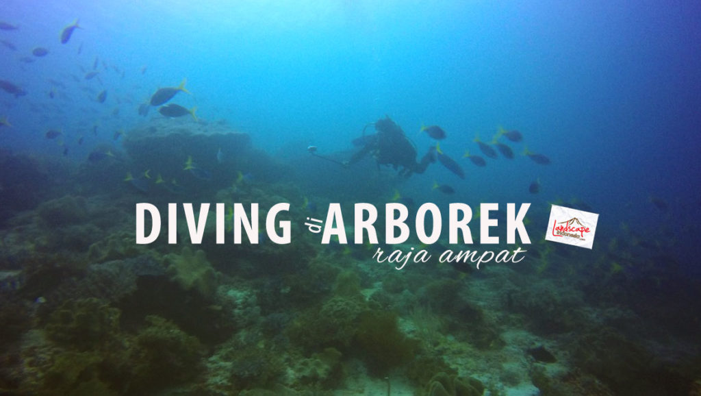 diving di arborek, raja ampat