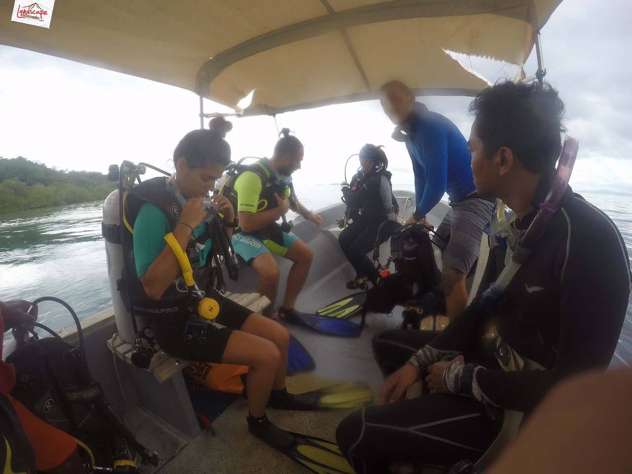 diving di arborek, raja ampat