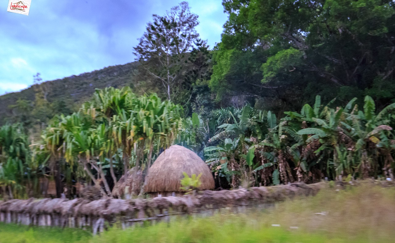 Jalur Darat Wamena - Yalimo