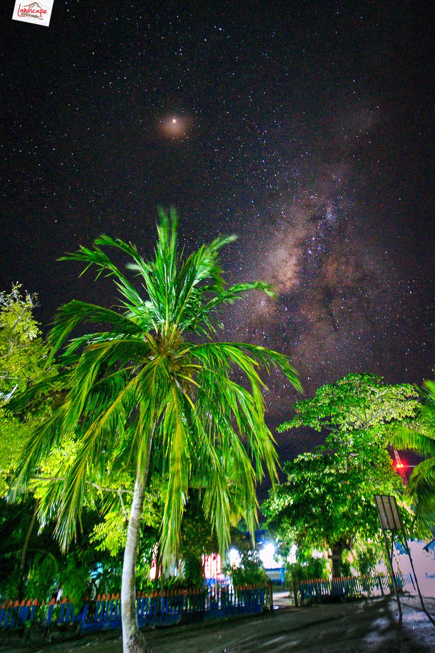 berburu milky way di papua