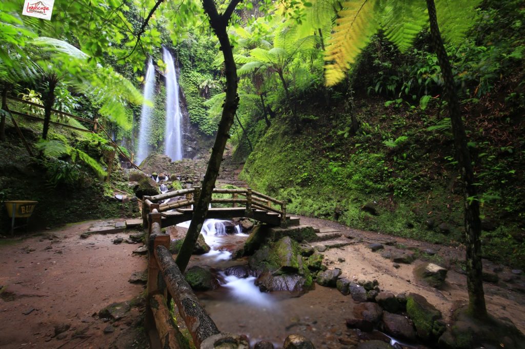 air-terjun-jumog