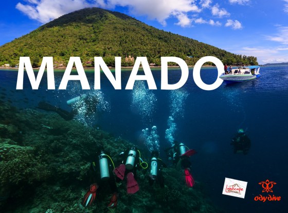 diving manado