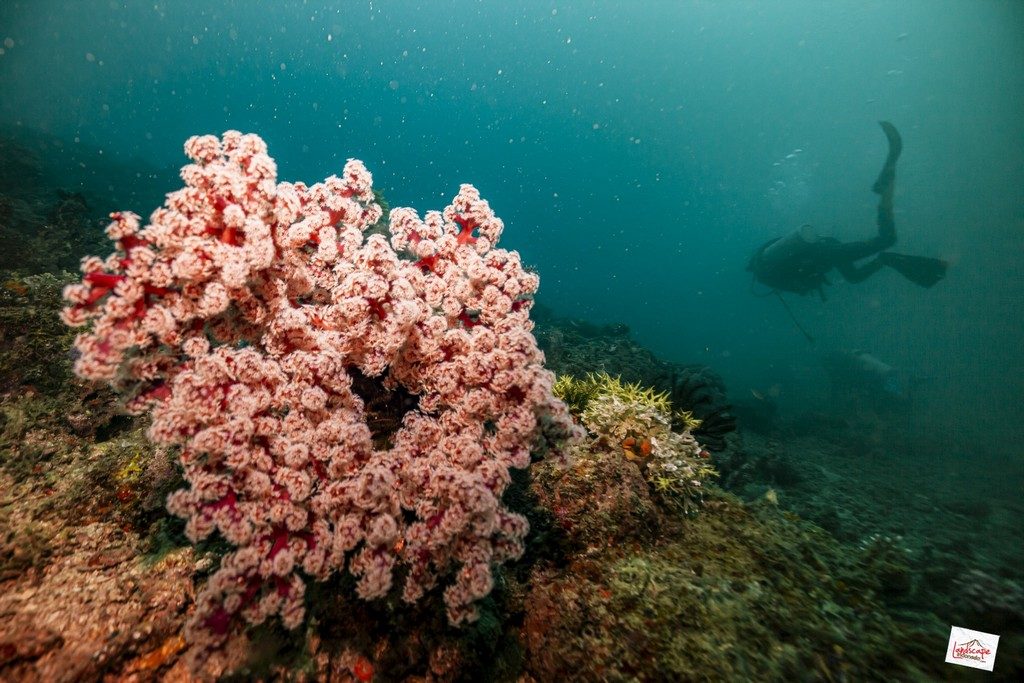 visibility mirip lah sama pulau seribu