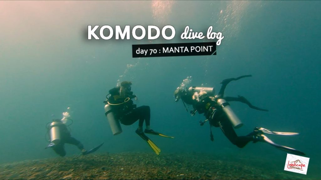 komodo-manta