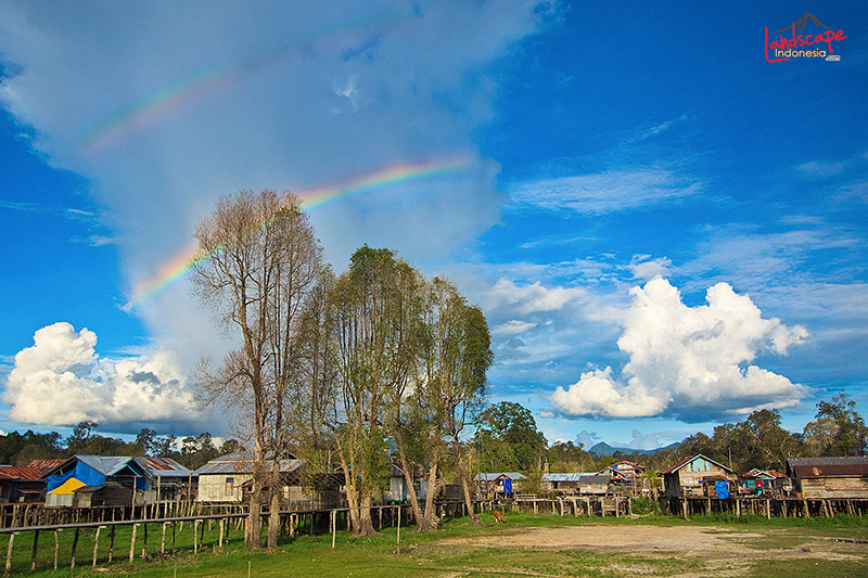 keindahan danau sentarum