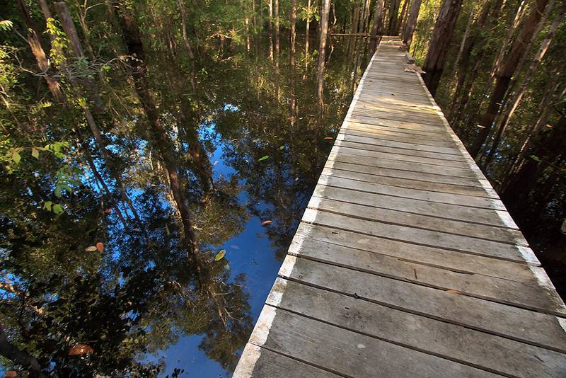 komposisi-foto-pemandangan