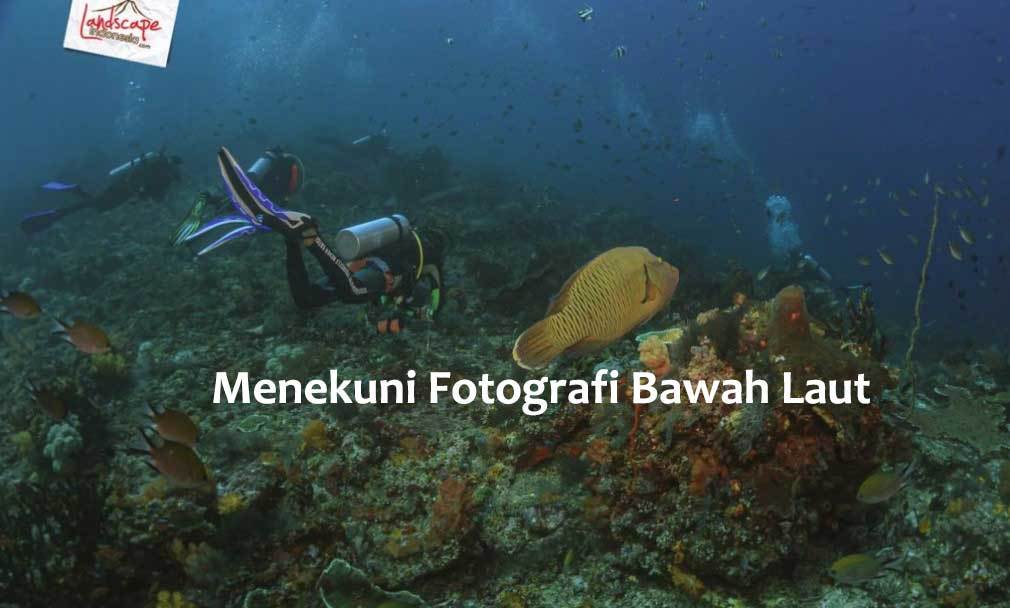 menekuni fotografi bawah laut