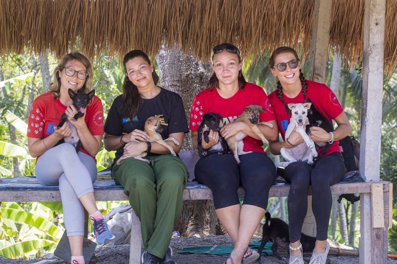 fotografi hewan peliharaan